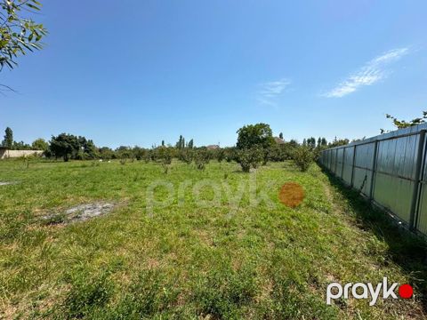 20 sot, Tikinti, Mülkiyyətçi, Kupça (Çıxarış)