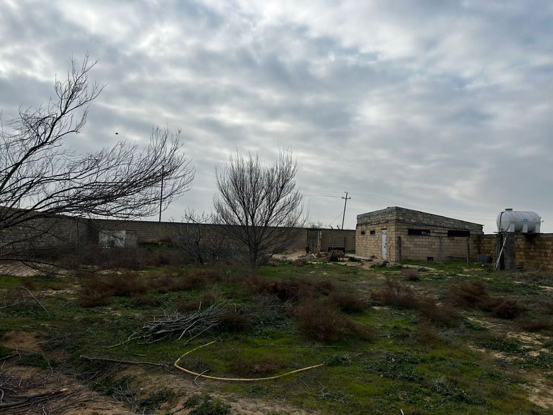 Satılır torpaq 12 sot — Torpaq, Bakı (5)