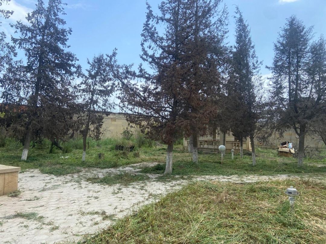 Satılır torpaq 9.2 sot — Torpaq, Bakı (4)