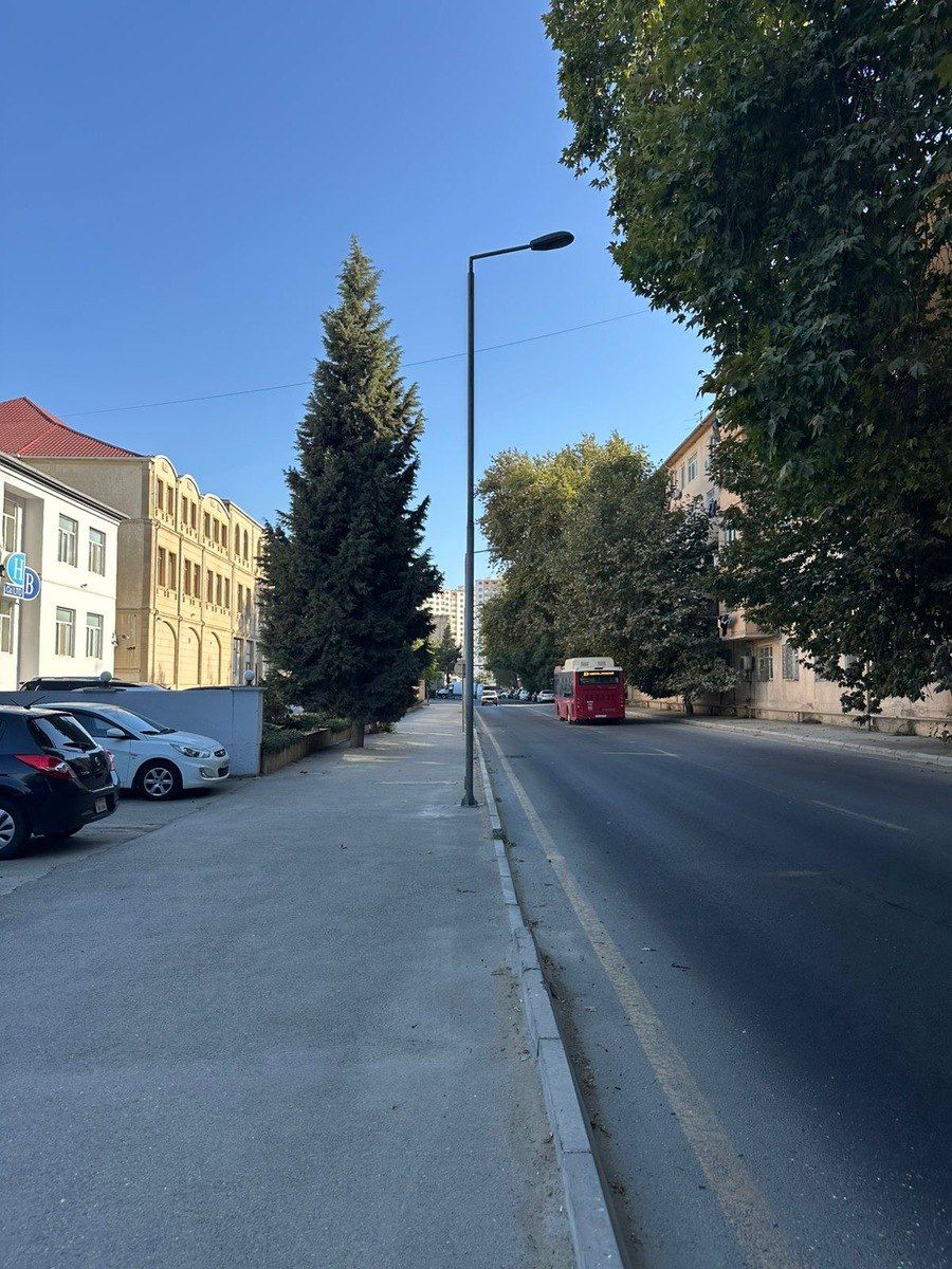 İcarəyə verilir obyekt 1100 m² — Əmlak, Bakı (2)