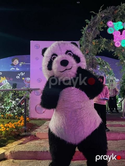 Panda Anımator geyimi satılır — Bakı
