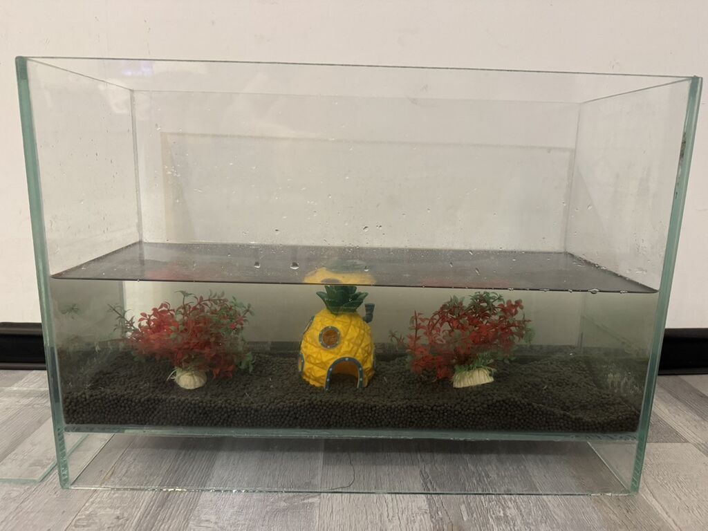 Dördbucaq akvarium, Boş, 60 l, Ünvandan götürmə — Heyvanlar, Bakı (3)