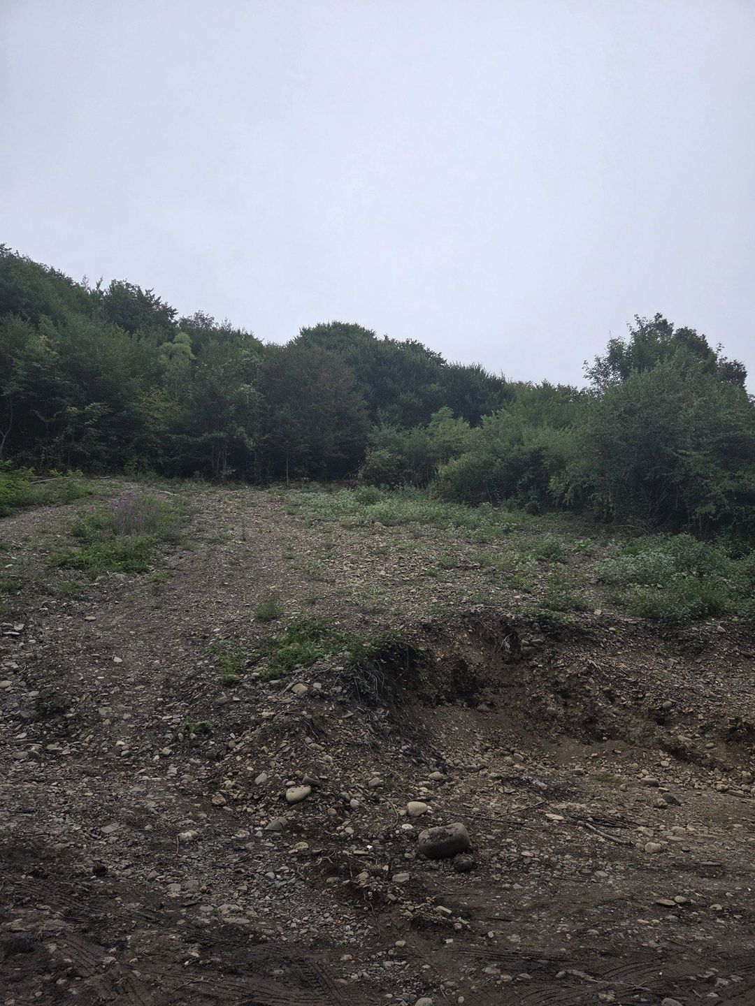 Satılır torpaq 8 sot — Torpaq, Qusar