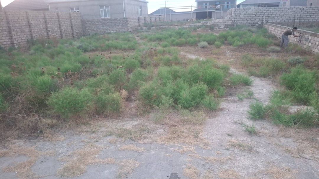 Satılır torpaq 6 sot — Torpaq, Bakı (4)