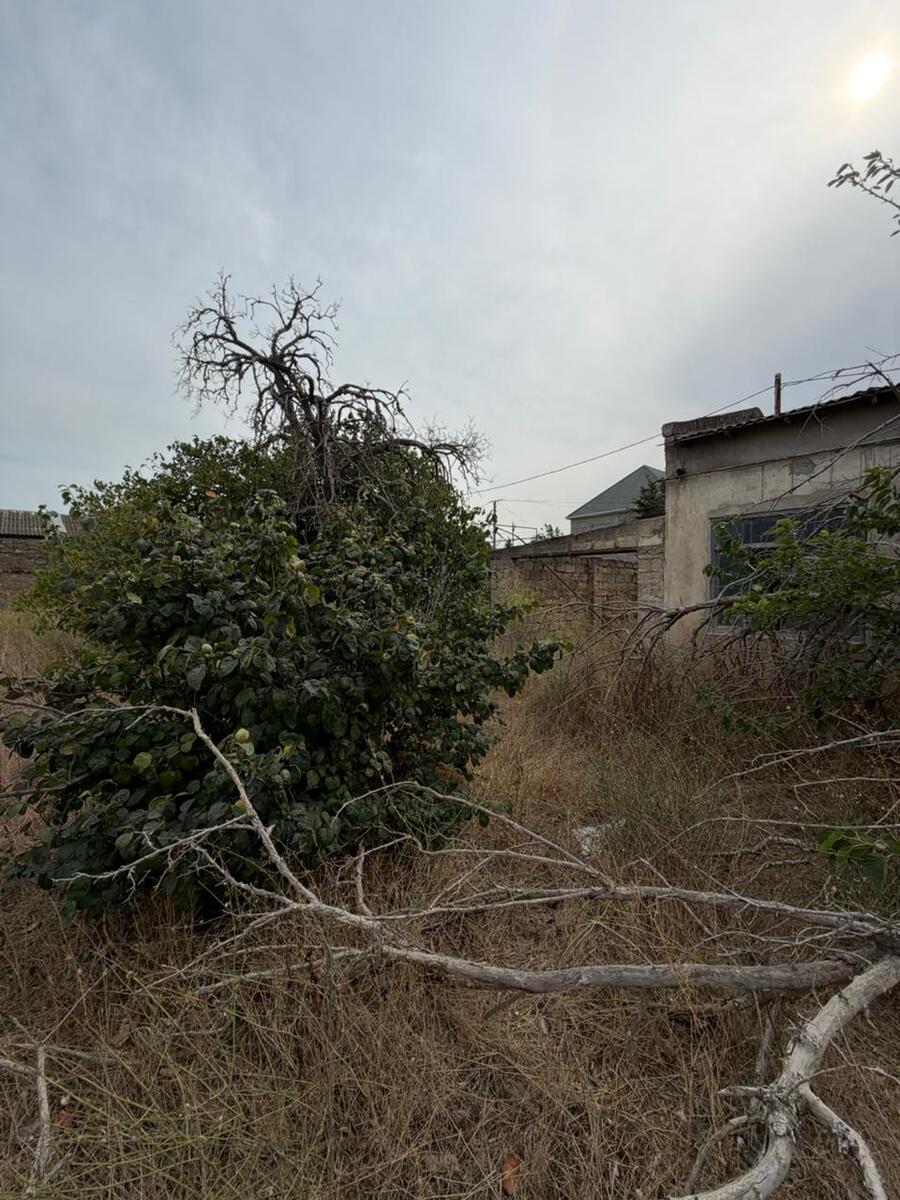 Satılır torpaq 23 sot — Torpaq, Bakı (5)
