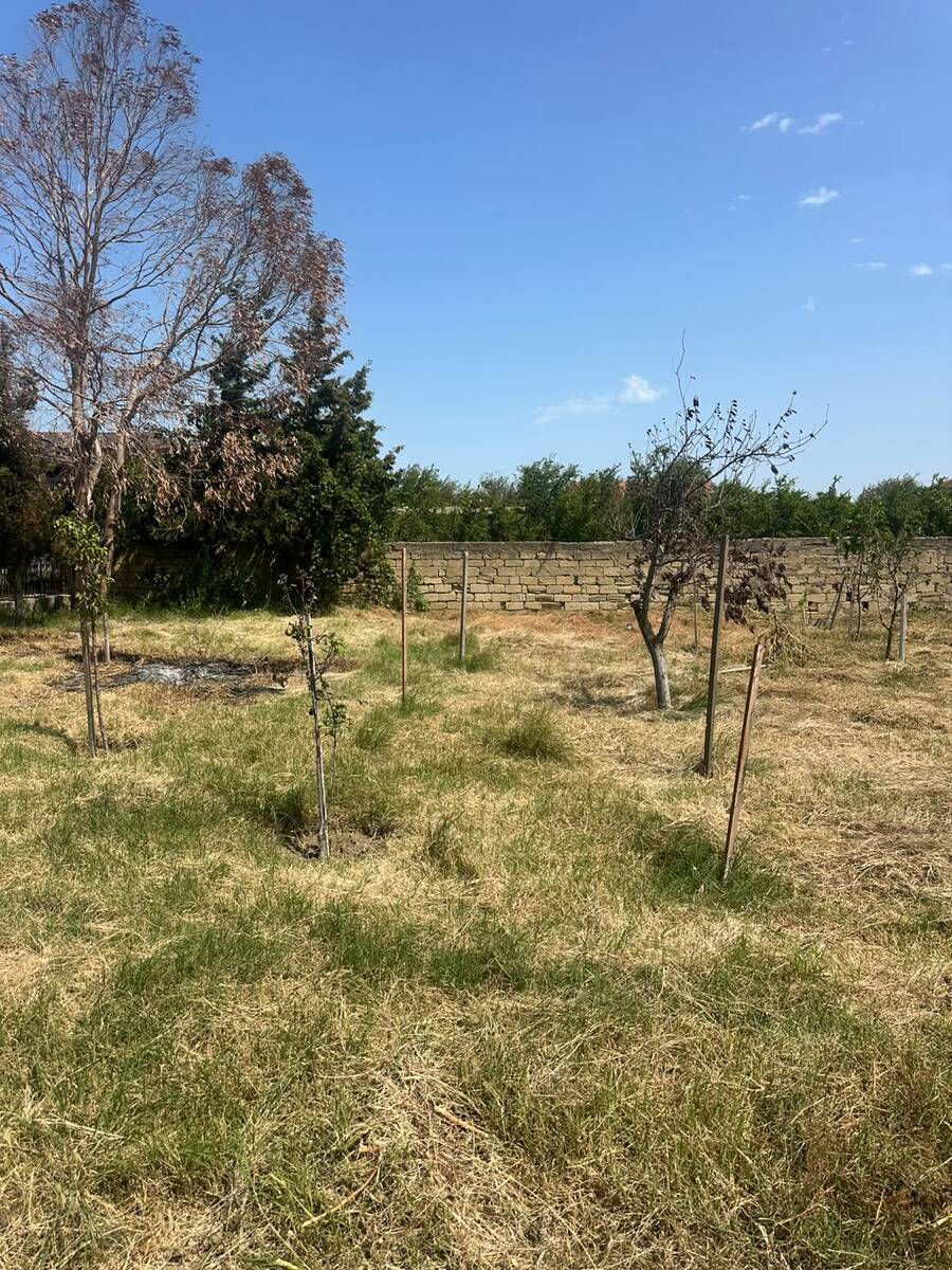 Satılır torpaq 5 sot — Torpaq, Bakı (3)