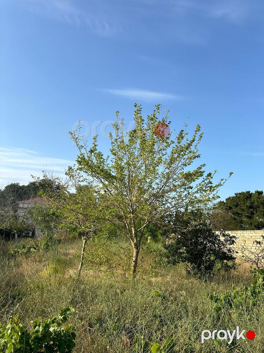 Satılır 7 otaqlı həyət evi/bağ evi 160 m² — Ev, villa, Bakı (9)