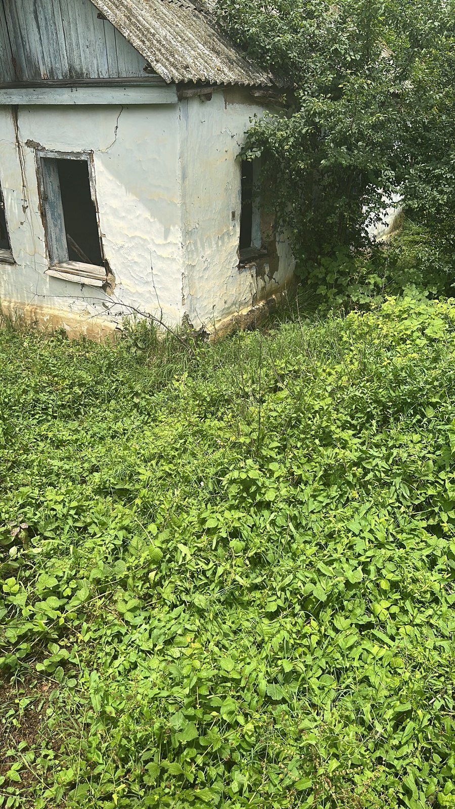 Satılır torpaq 7 sot — Torpaq, Xudat (6)