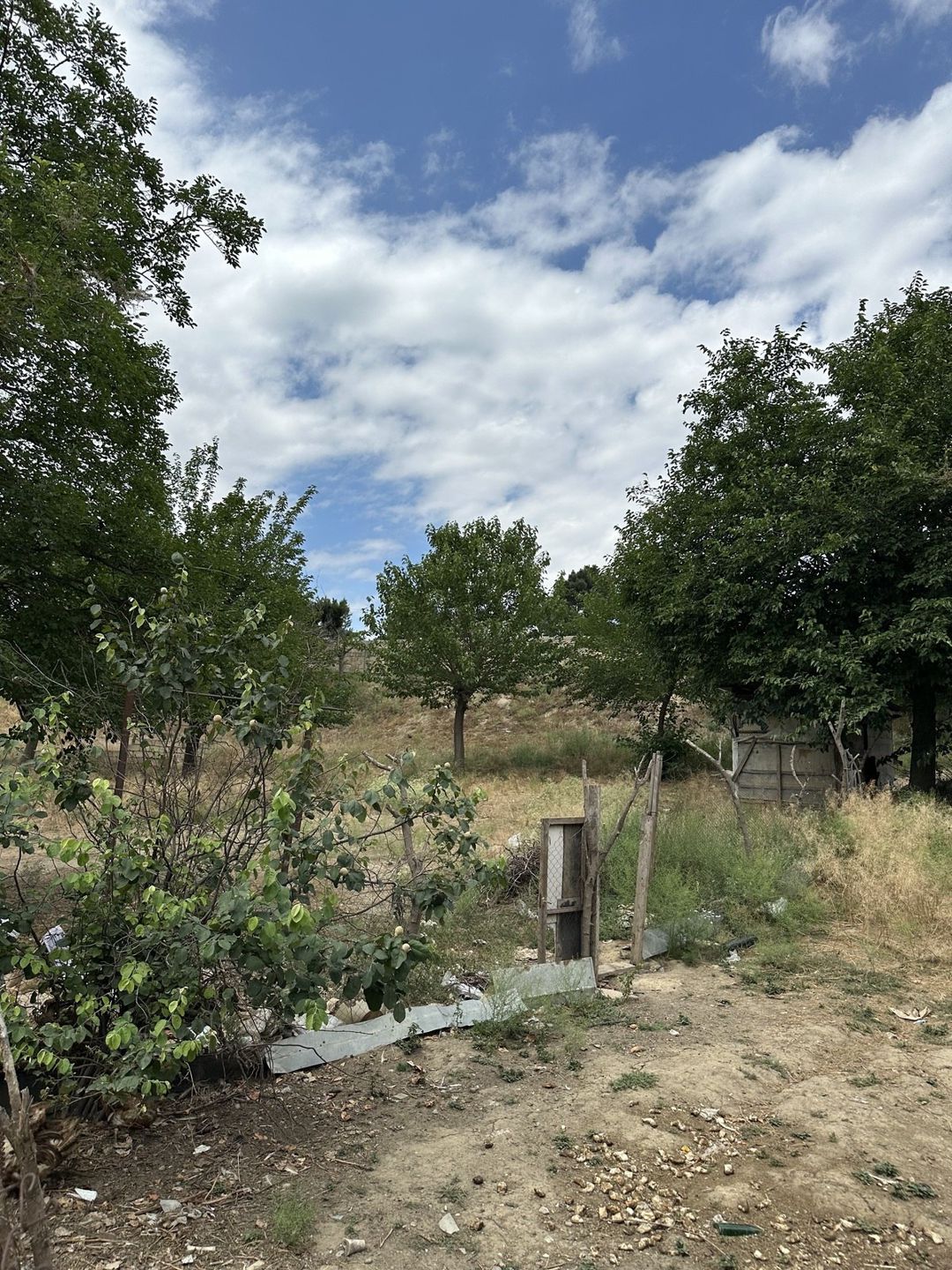 Satılır torpaq 6 sot — Torpaq, Bakı (10)