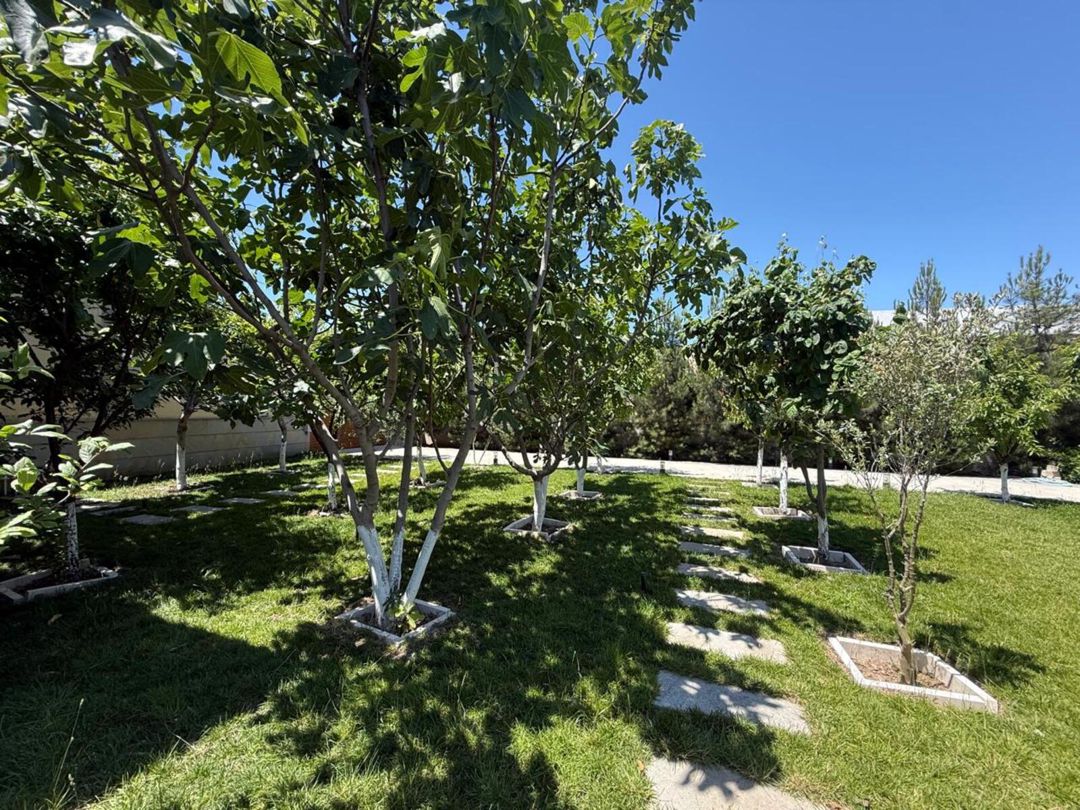 Satılır 3 otaqlı həyət evi/bağ evi 110 m² — Ev, villa, Bakı (6)