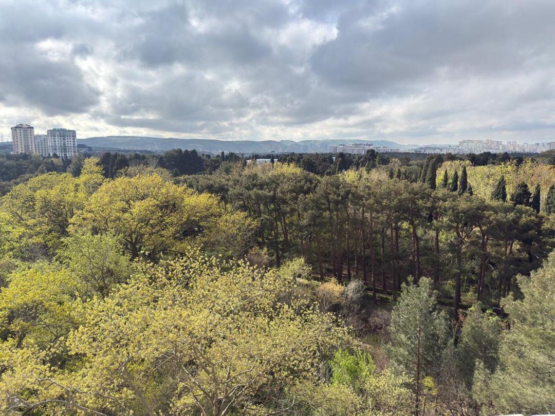 Satılır 3 otaqlı yeni tikili 142 m² — Mənzil, Bakı (10)
