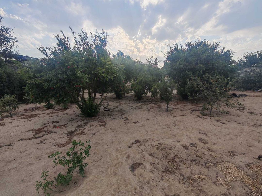 Satılır torpaq 3 sot — Torpaq, Bakı (5)