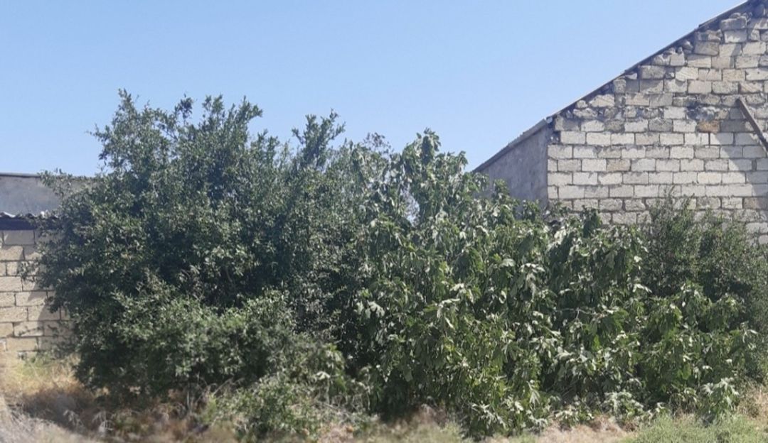 Satılır torpaq 10 sot — Torpaq, Xırdalan (5)