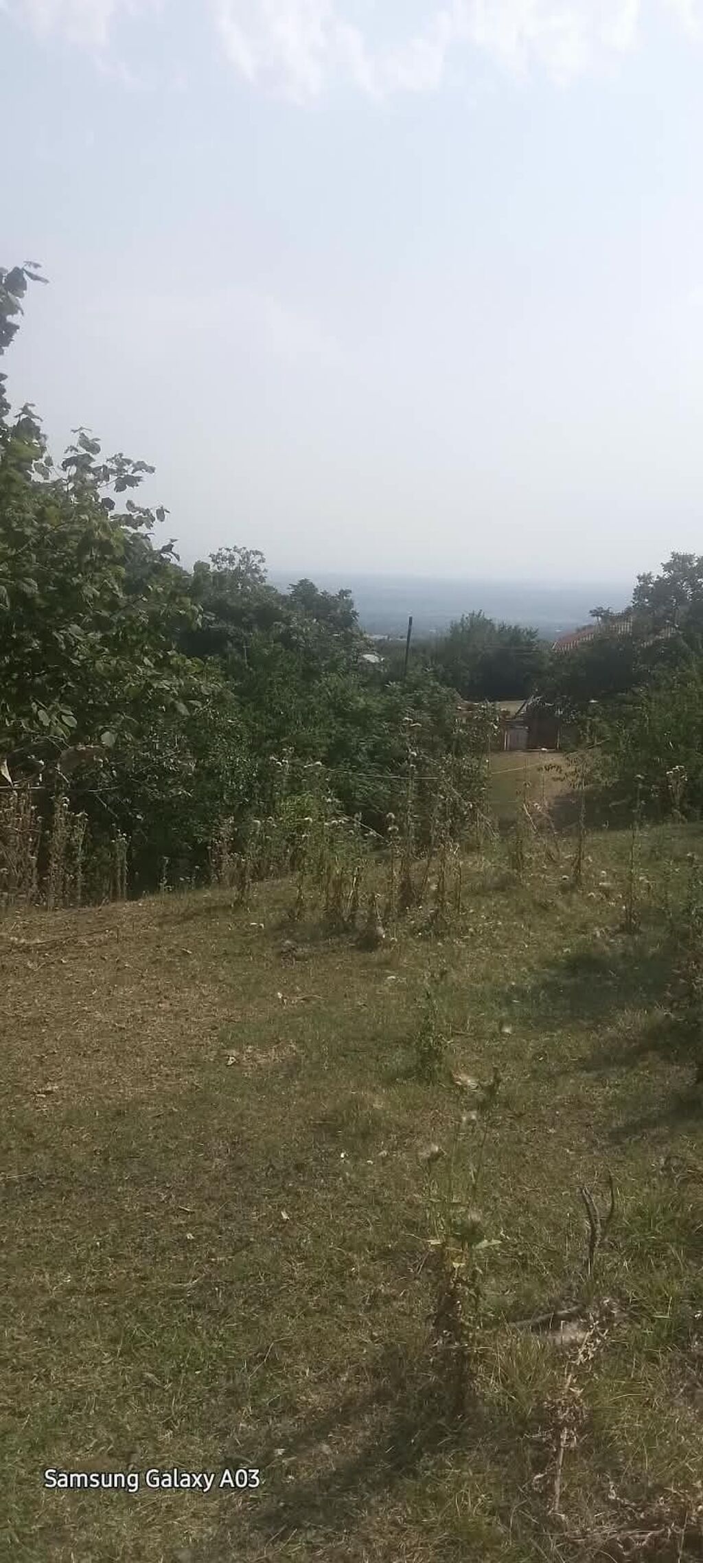 Qax rayonu Zerne kendinde 18 sot meşə ilə əhatələnmiş, dağ mənzərəli — Torpaq, Qax (8)