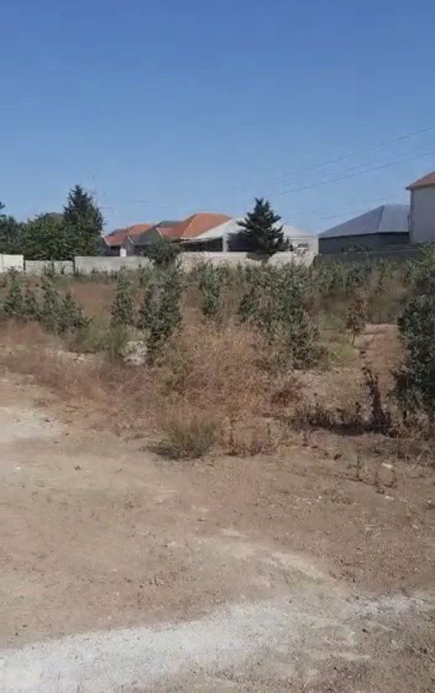 Satılır torpaq 30 sot — Torpaq, Bakı (4)
