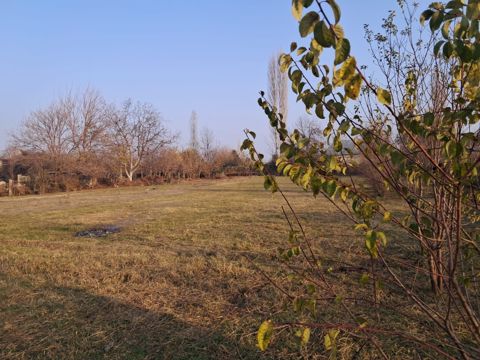 Satılır torpaq 25 sot — Göyçay