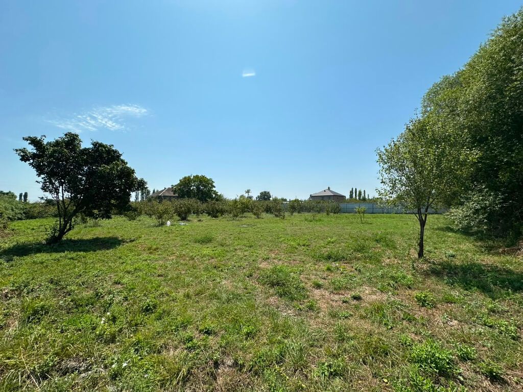 20 sot, Tikinti, Mülkiyyətçi, Kupça (Çıxarış) — Torpaq, Xaçmaz (2)