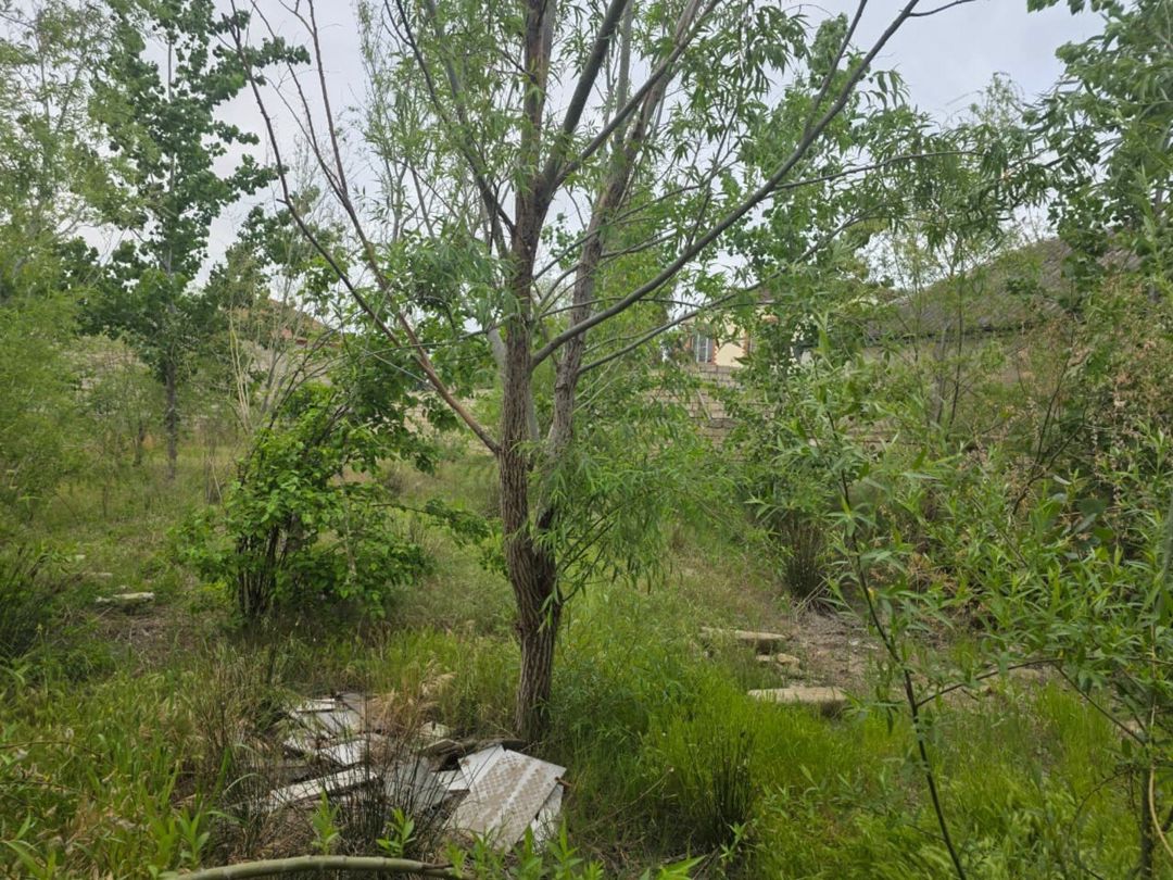 Satılır torpaq 4 sot — Torpaq, Bakı (3)