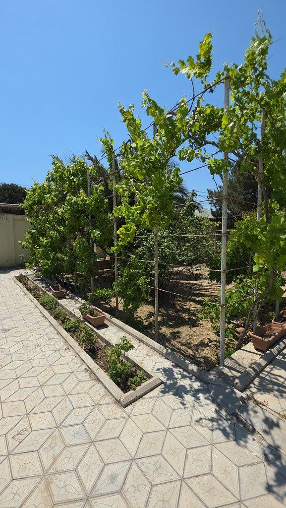 İcarəyə verilir 5 otaqlı həyət evi/bağ evi 240 m² — Ev, villa, Bakı (2)