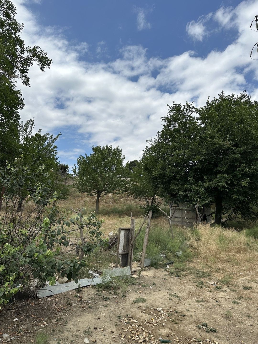 Satılır torpaq 6 sot — Torpaq, Bakı (5)