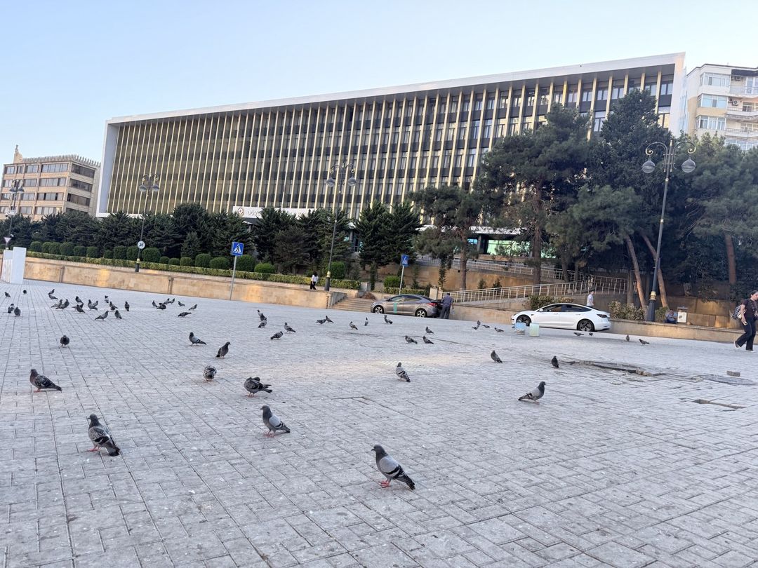 Satılır 3 otaqlı köhnə tikili 87 m² — Mənzil, Bakı (2)