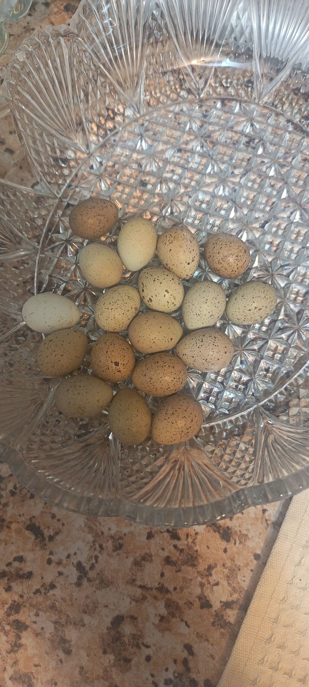 Çin Bıldırcın yumurtası mayalı yumurtalardır 1i 0.50 qəpik — Qida məhsulları, Sumqayıt