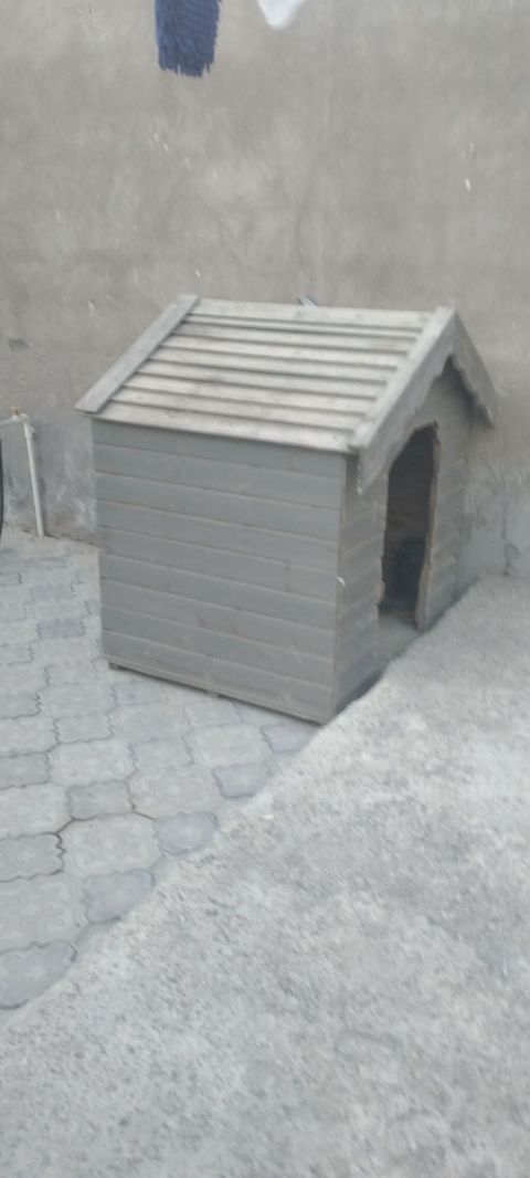 Taxta it evi - Material: bərk taxta panellər, üfüqi lamellər - Rəng — Digah