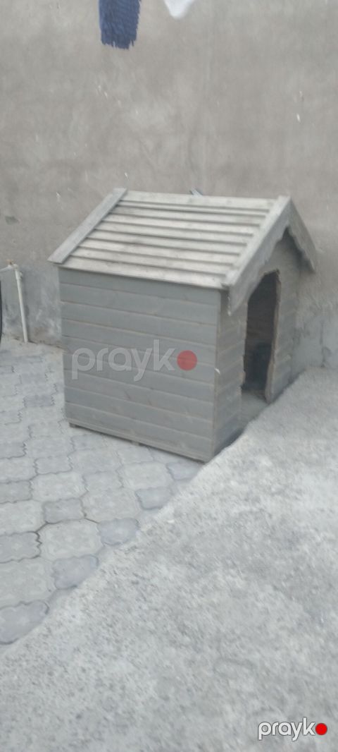 Taxta it evi - Material: bərk taxta panellər, üfüqi lamellər - Rəng — Digah