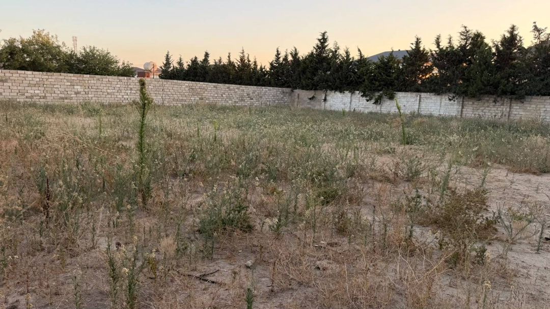 Satılır torpaq 25.2 sot — Torpaq, Bakı (2)