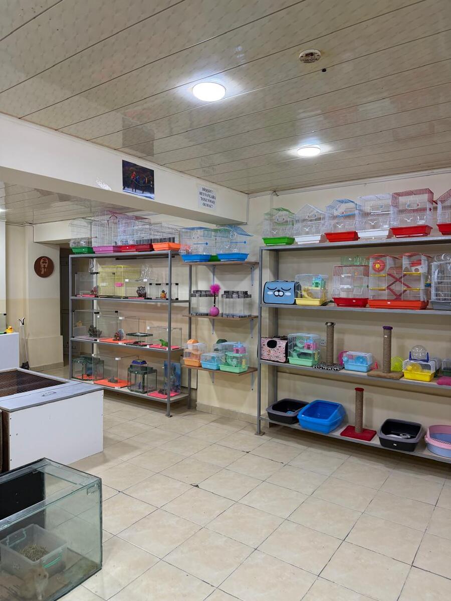 Satılır obyekt 140 m² — Əmlak, Bakı (5)