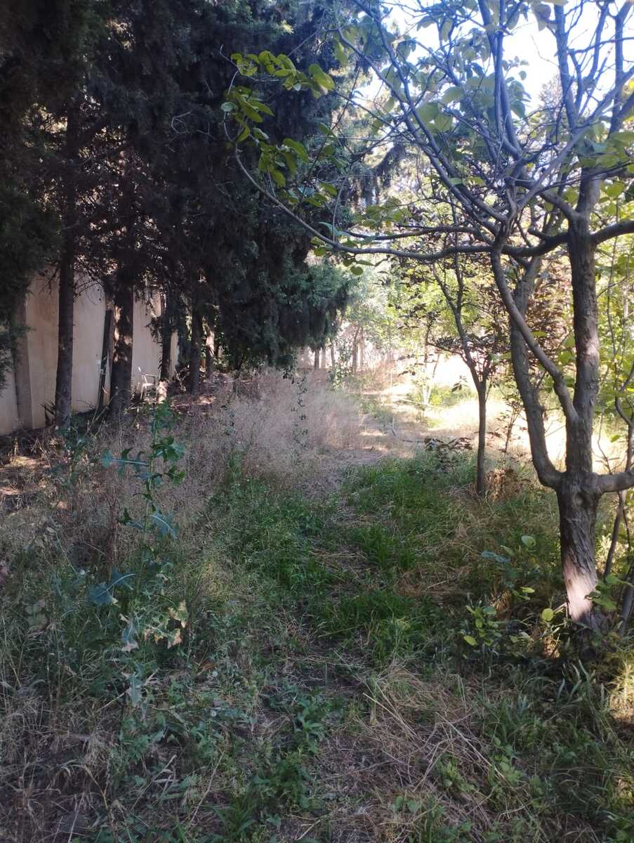 Satılır 5 otaqlı həyət evi/bağ evi 220 m² — Ev, villa, Bakı (9)