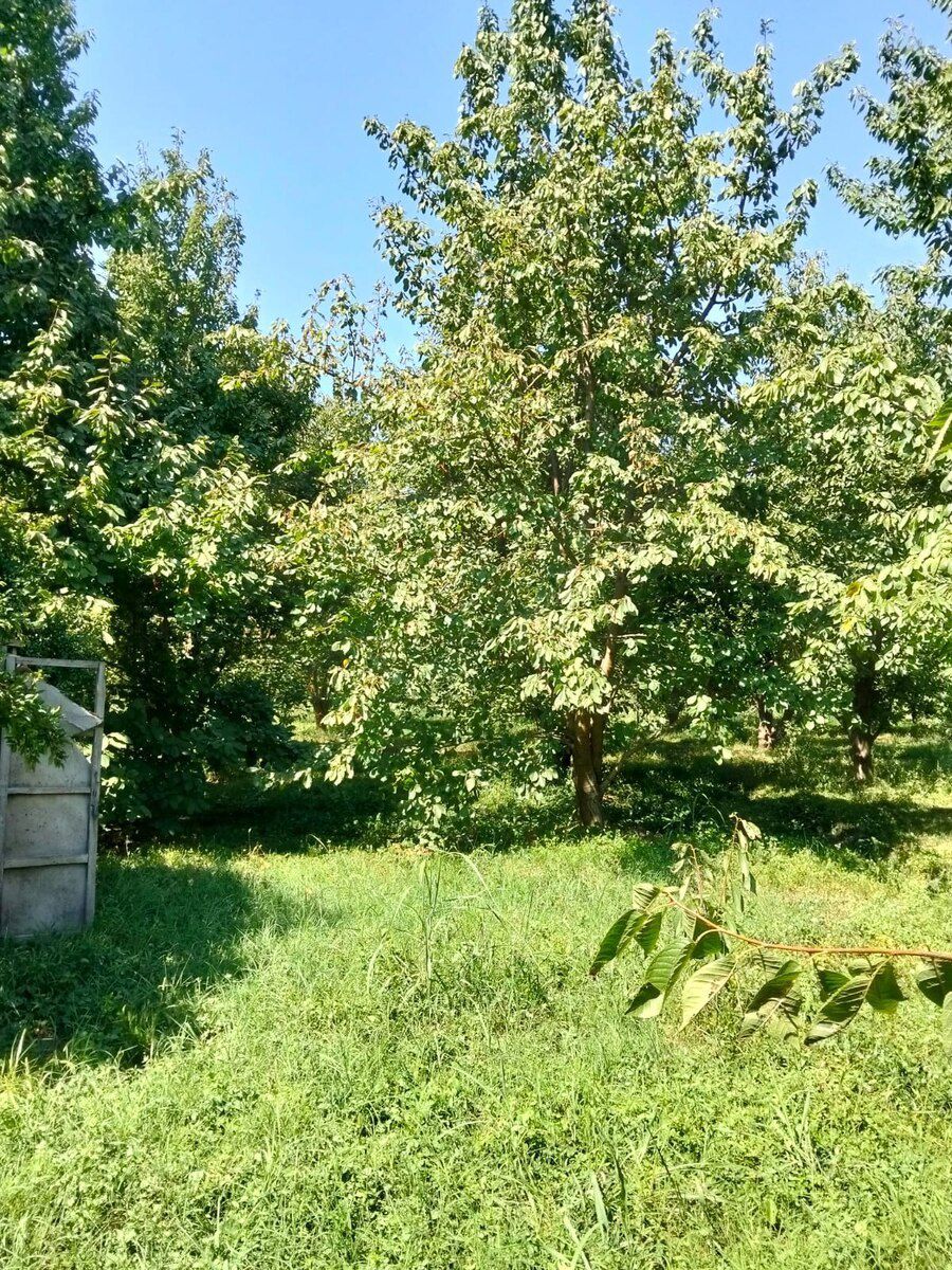 Bağ evi, Xaçmaz r — Ev, villa, Xaçmaz (9)