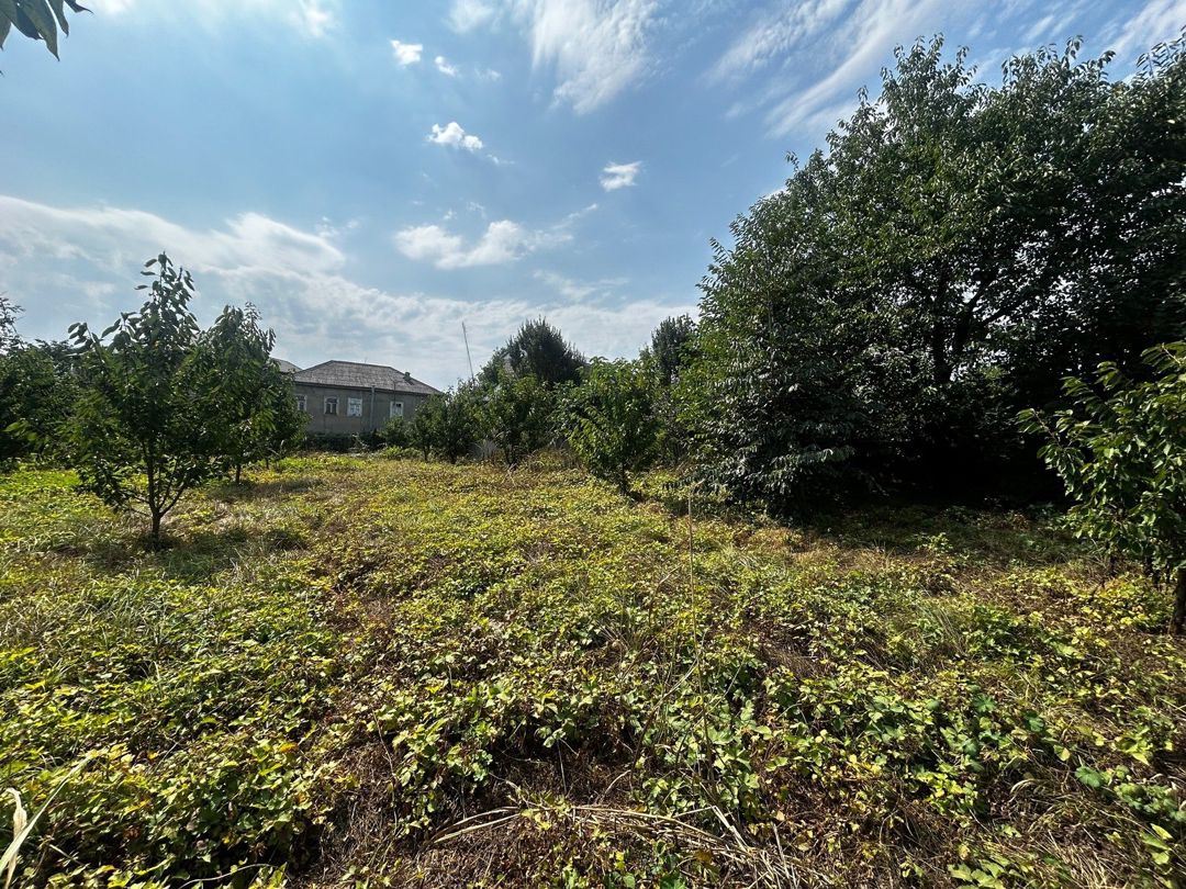 Satılır 5 otaqlı həyət evi/bağ evi 83.6 m² — Ev, villa, Quba (5)