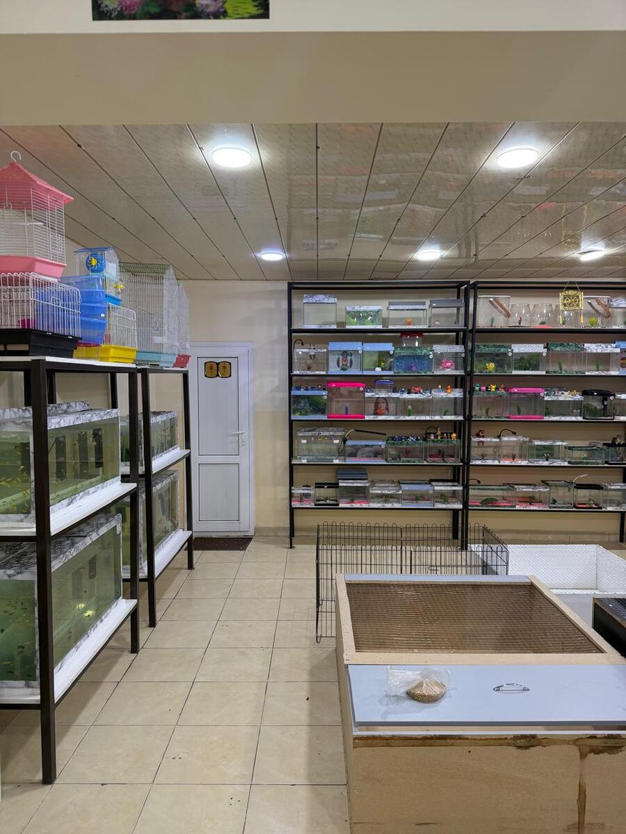 Satılır obyekt 140 m² — Əmlak, Bakı (3)