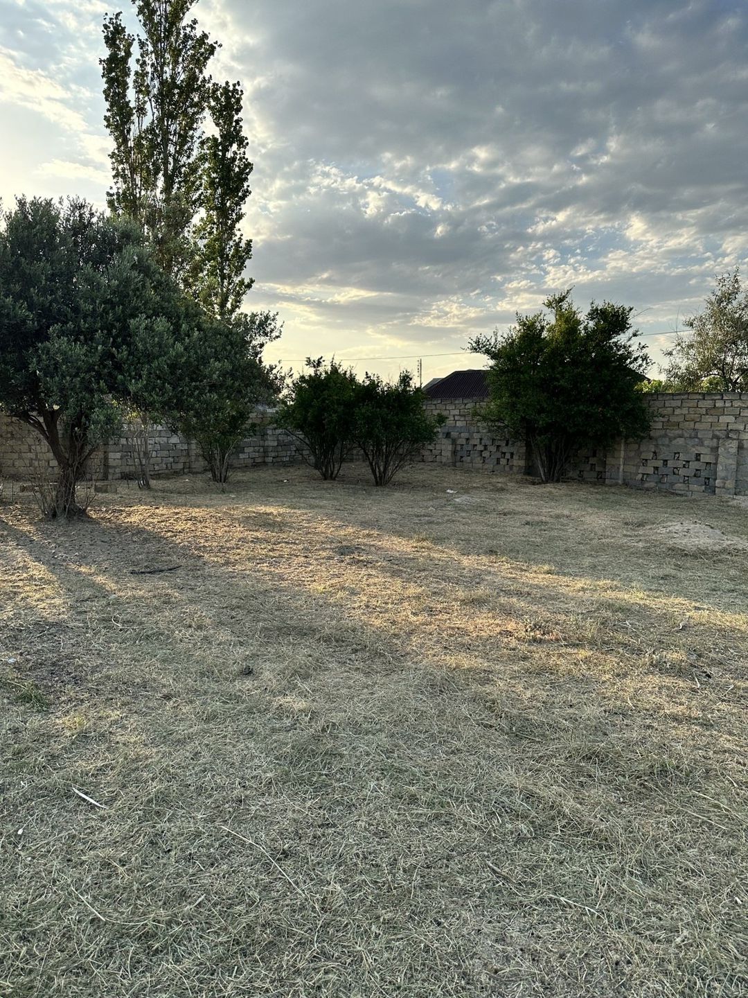 Satılır torpaq 4 sot — Torpaq, Bakı (2)