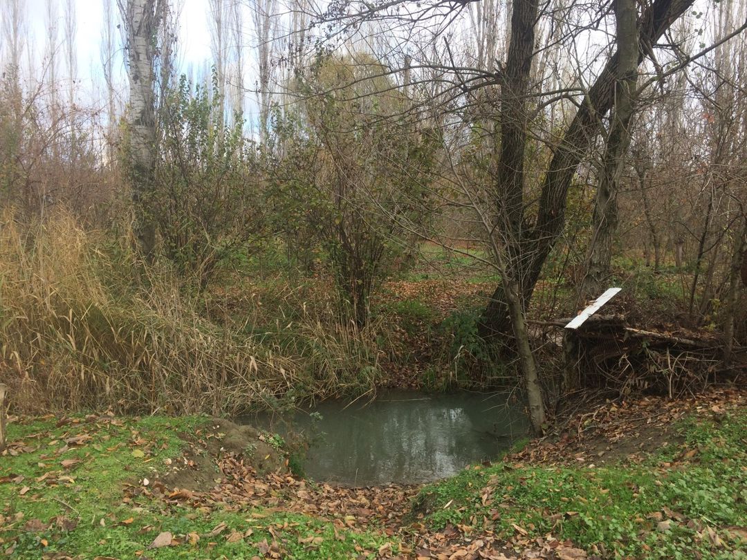 Satılır 3 otaqlı həyət evi/bağ evi 100 m² — Ev, villa, Şəki (9)