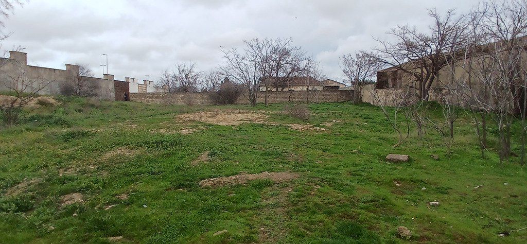 Satılır torpaq 30 sot — Torpaq, Bakı (6)