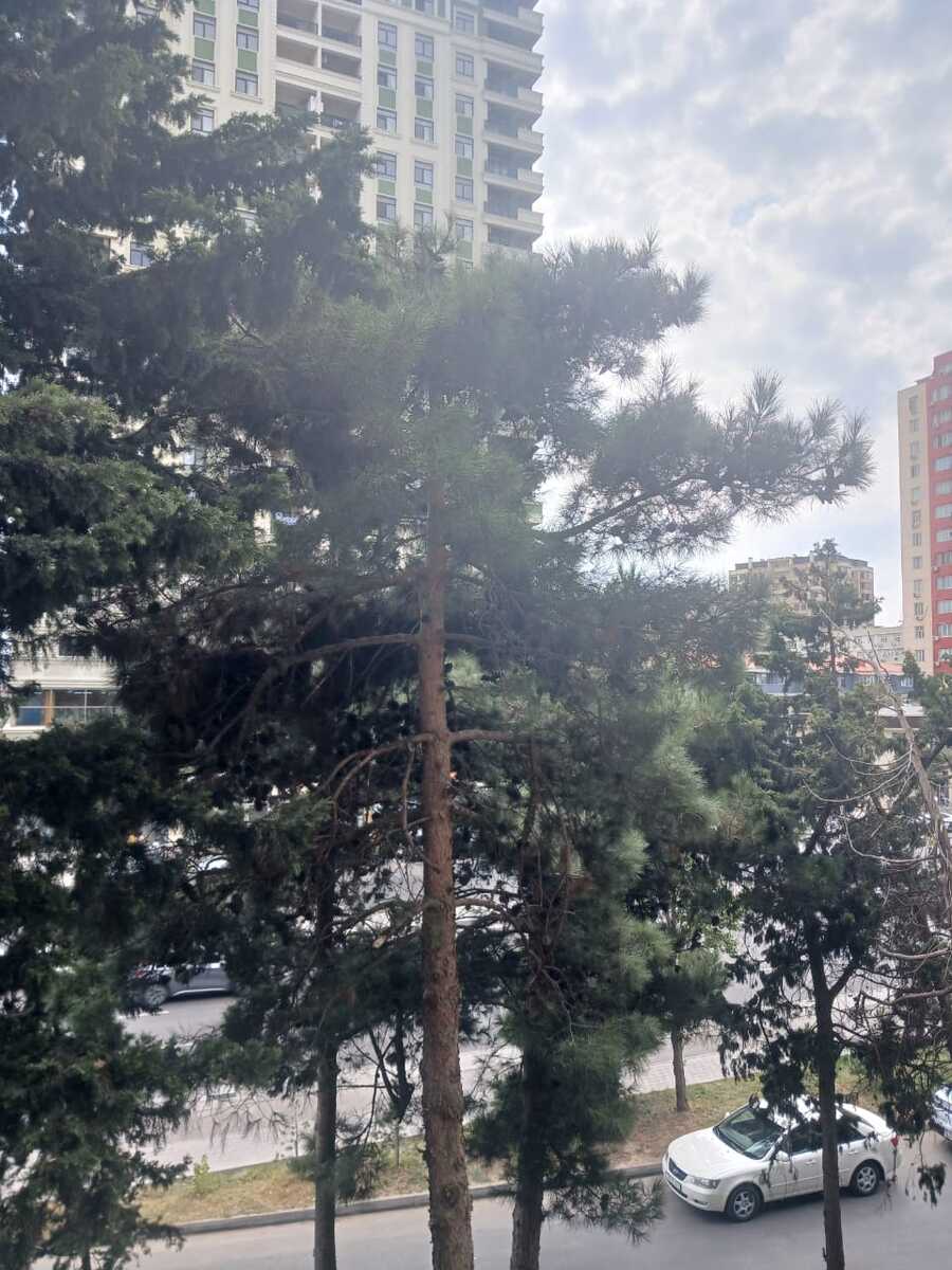 Satılır 3 otaqlı köhnə tikili 85 m² — Mənzil, Bakı (10)