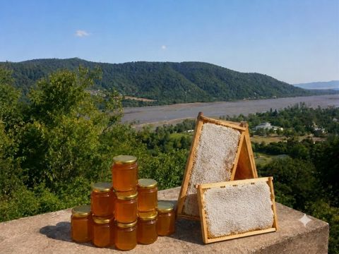 Zaqatala balı 100% natur — Zaqatala
