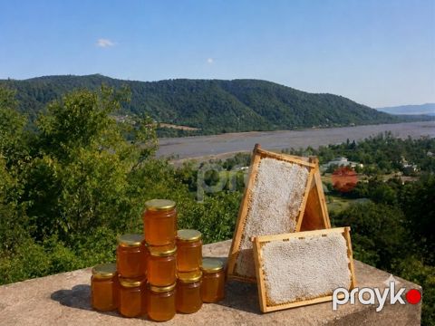 Zaqatala balı 100% natur — Zaqatala