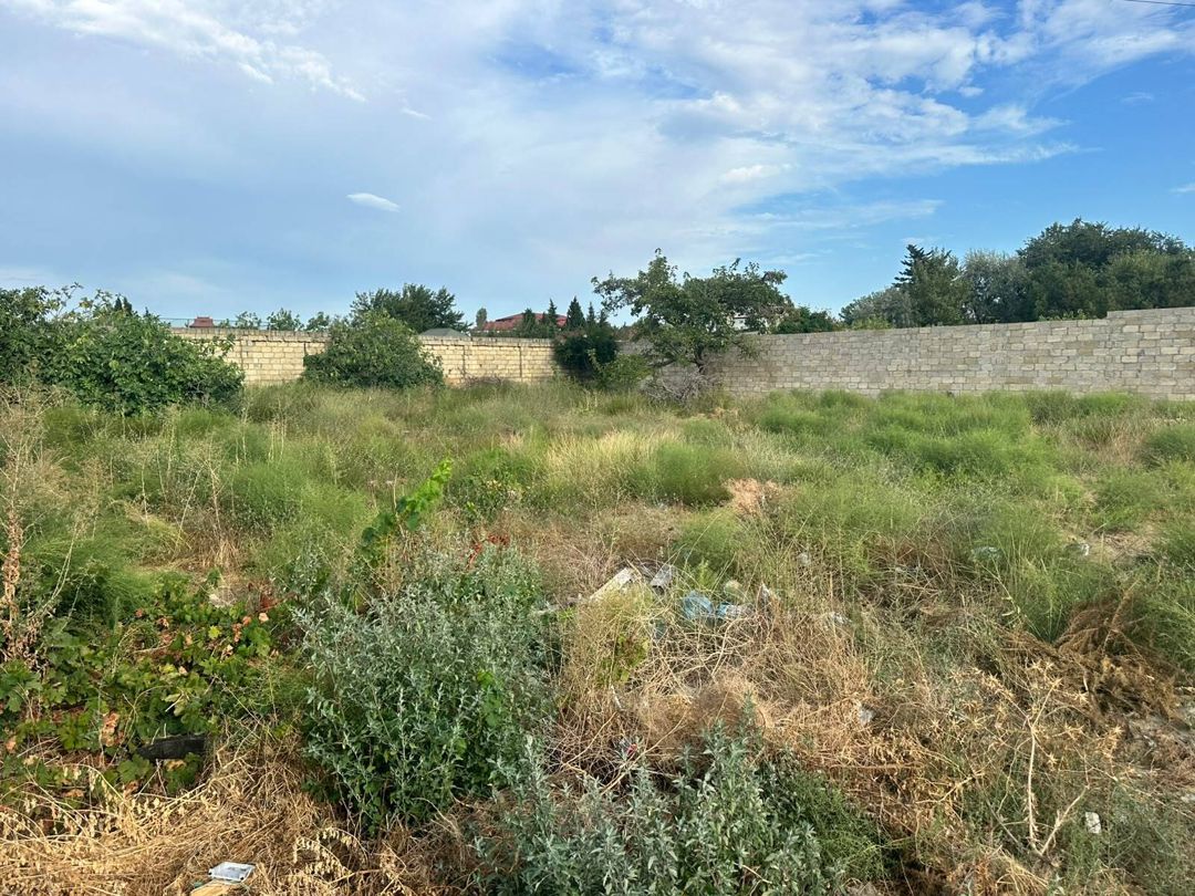 Satılır torpaq 8 sot — Torpaq, Bakı (7)