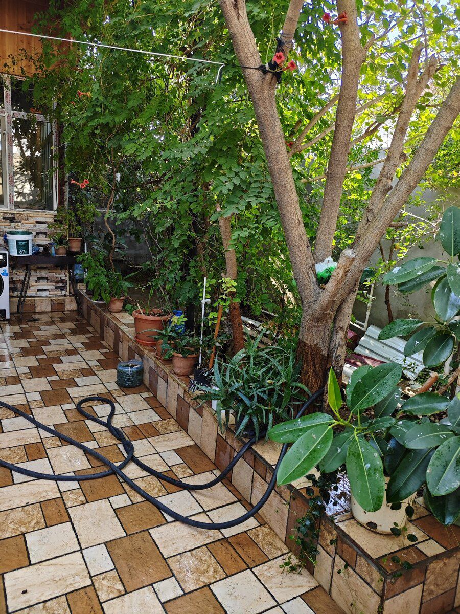 Həyət evi, Bayıl qəs — Ev, villa, Bakı (5)