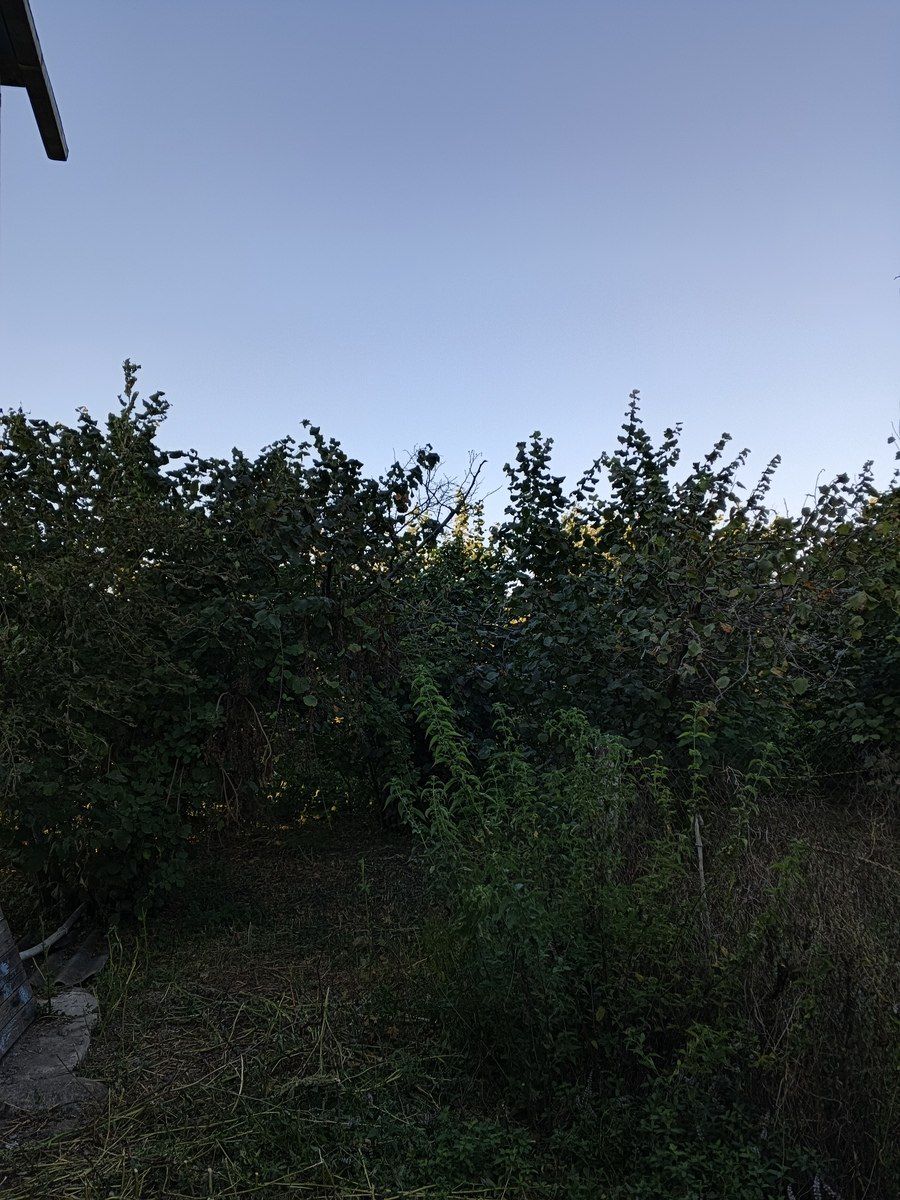 Satılır 6 otaqlı həyət evi/bağ evi 220 m² — Ev, villa, Xudat (8)