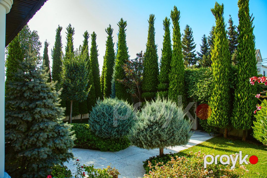 İcarəyə verilir 9 otaqlı həyət evi/bağ evi 700 m² — Ev, villa, Bakı (4)
