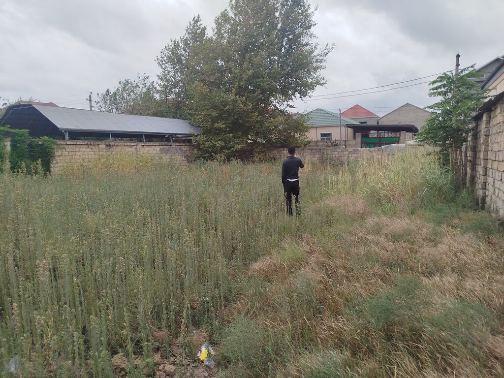 2 sot, Tikinti, Makler, Kupça (Çıxarış) — Torpaq, Fatmayı (6)
