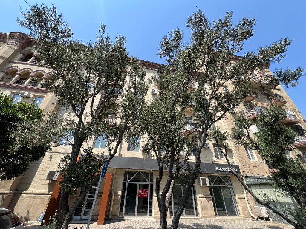İcarəyə verilir obyekt 300 m² — Əmlak, Bakı (2)