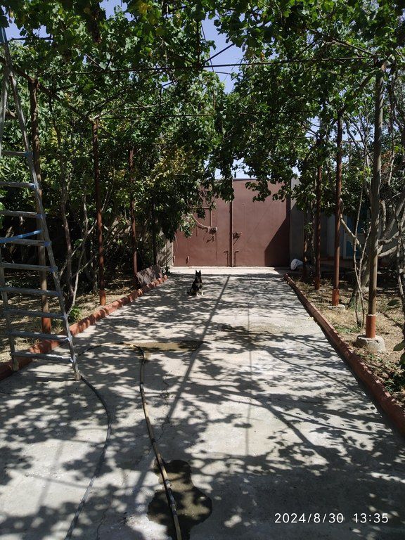 Satılır 7 otaqlı həyət evi/bağ evi 350 m² — Ev, villa, Bakı (5)