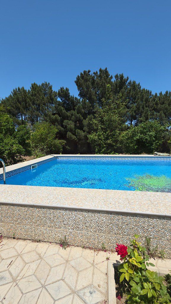 İcarəyə verilir 5 otaqlı həyət evi/bağ evi 240 m² — Ev, villa, Bakı (4)