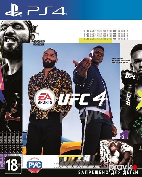 UFC 4