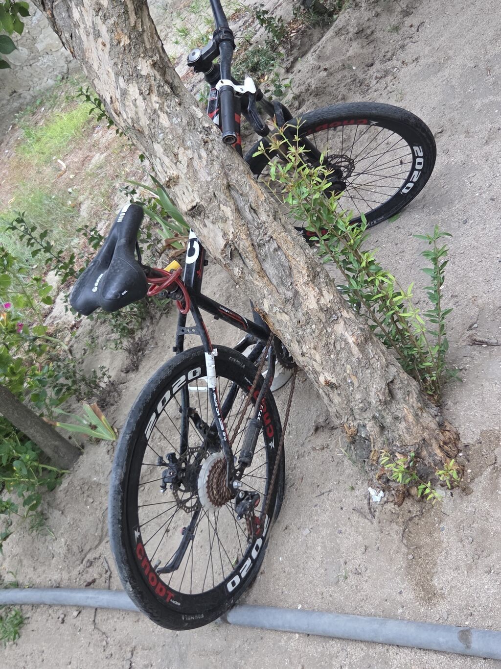 Dağ/şəhər tipli velosiped – “Sport 2020” dizaynlı - 26" təkərlər — Dağ velosipedləri, Digah